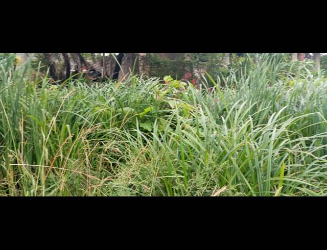 2,890M² VACANT LAND FOR SALE IN UMGABABA